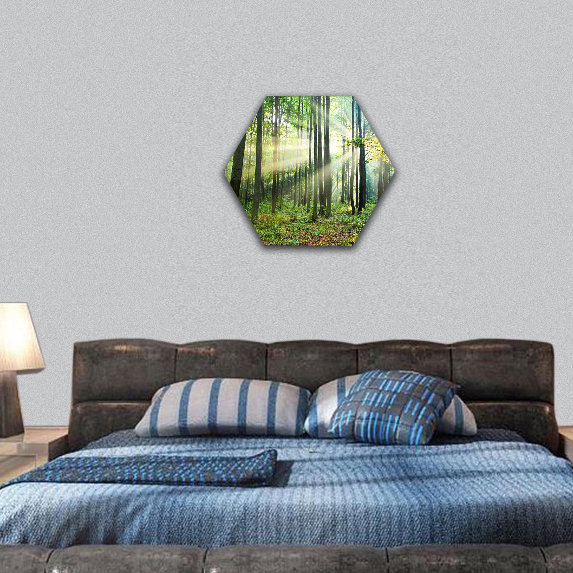 Morning in the forest hexagonal canvas wall art
