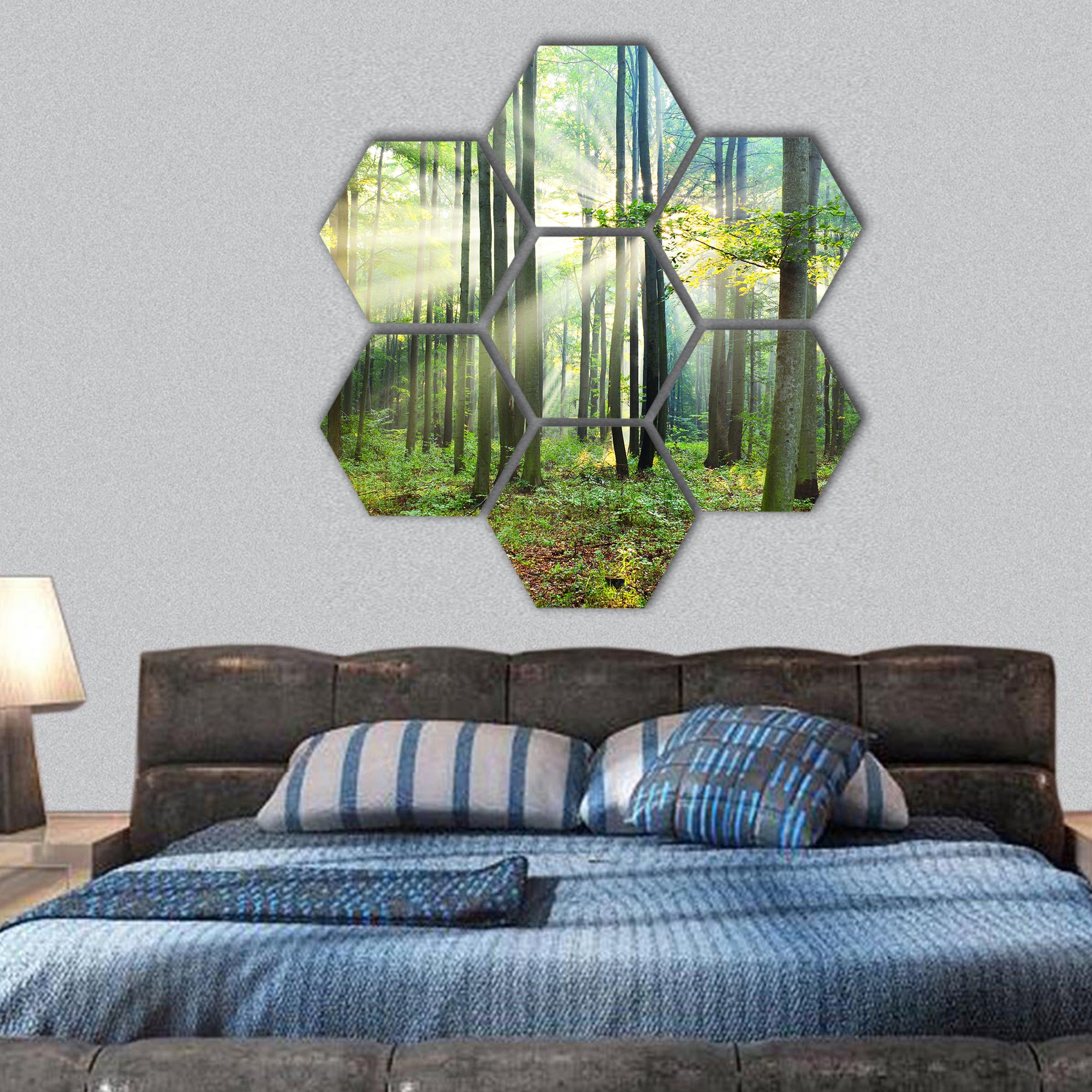 Morning in the forest hexagonal canvas wall art
