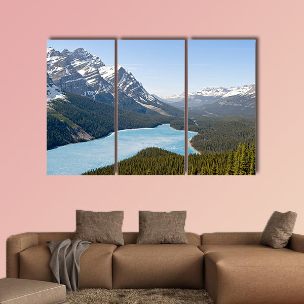 Spring aerial view of the Peyto lake and snowy rocky mountains wall art
