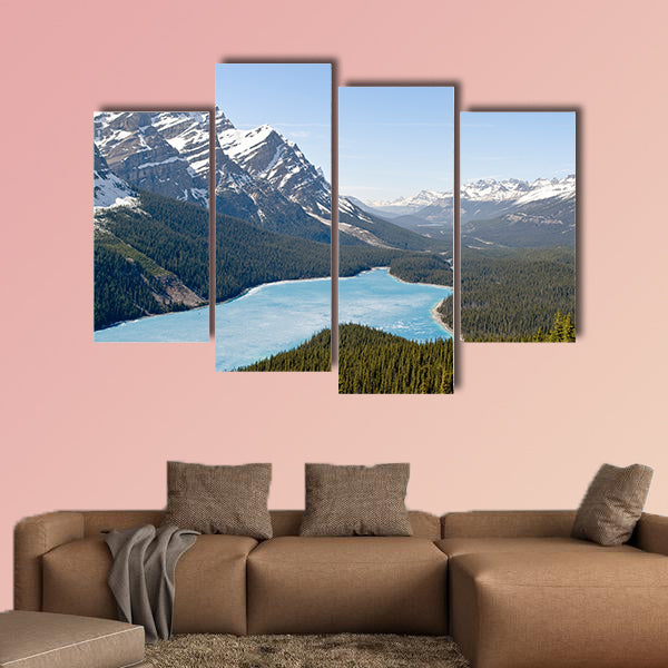 Spring aerial view of the Peyto lake and snowy rocky mountains wall art