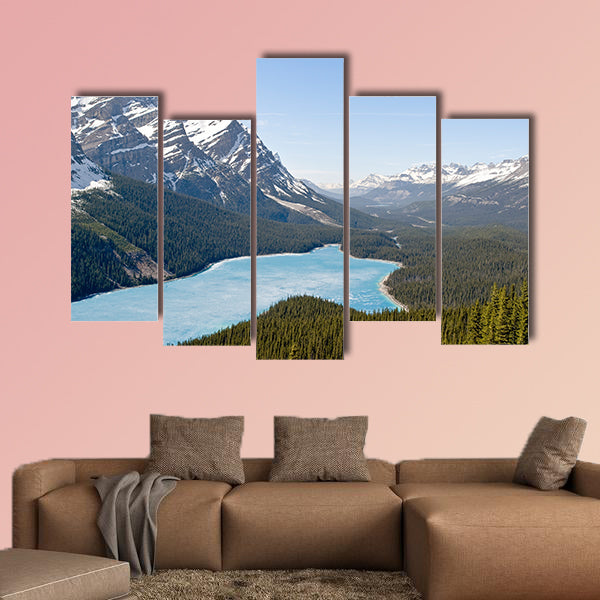Spring aerial view of the Peyto lake and snowy rocky mountains wall art
