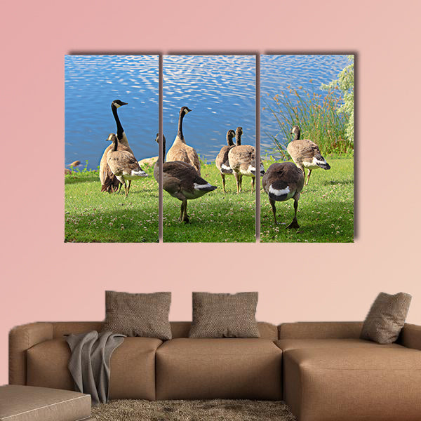 A family of Canadian Geese by the water Multi panel canvas wall art