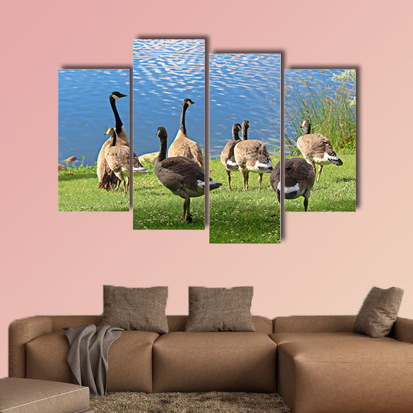 A family of Canadian Geese by the water Multi panel canvas wall art