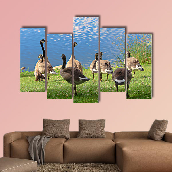 A family of Canadian Geese by the water Multi panel canvas wall art