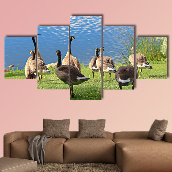 A family of Canadian Geese by the water Multi panel canvas wall art