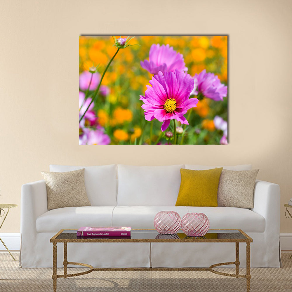 Pink cosmos in the flower fields Multi Panel Canvas Wall Art