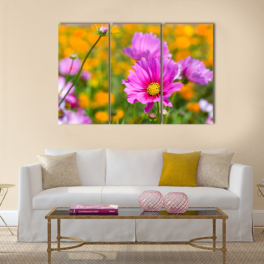 Pink cosmos in the flower fields Multi Panel Canvas Wall Art