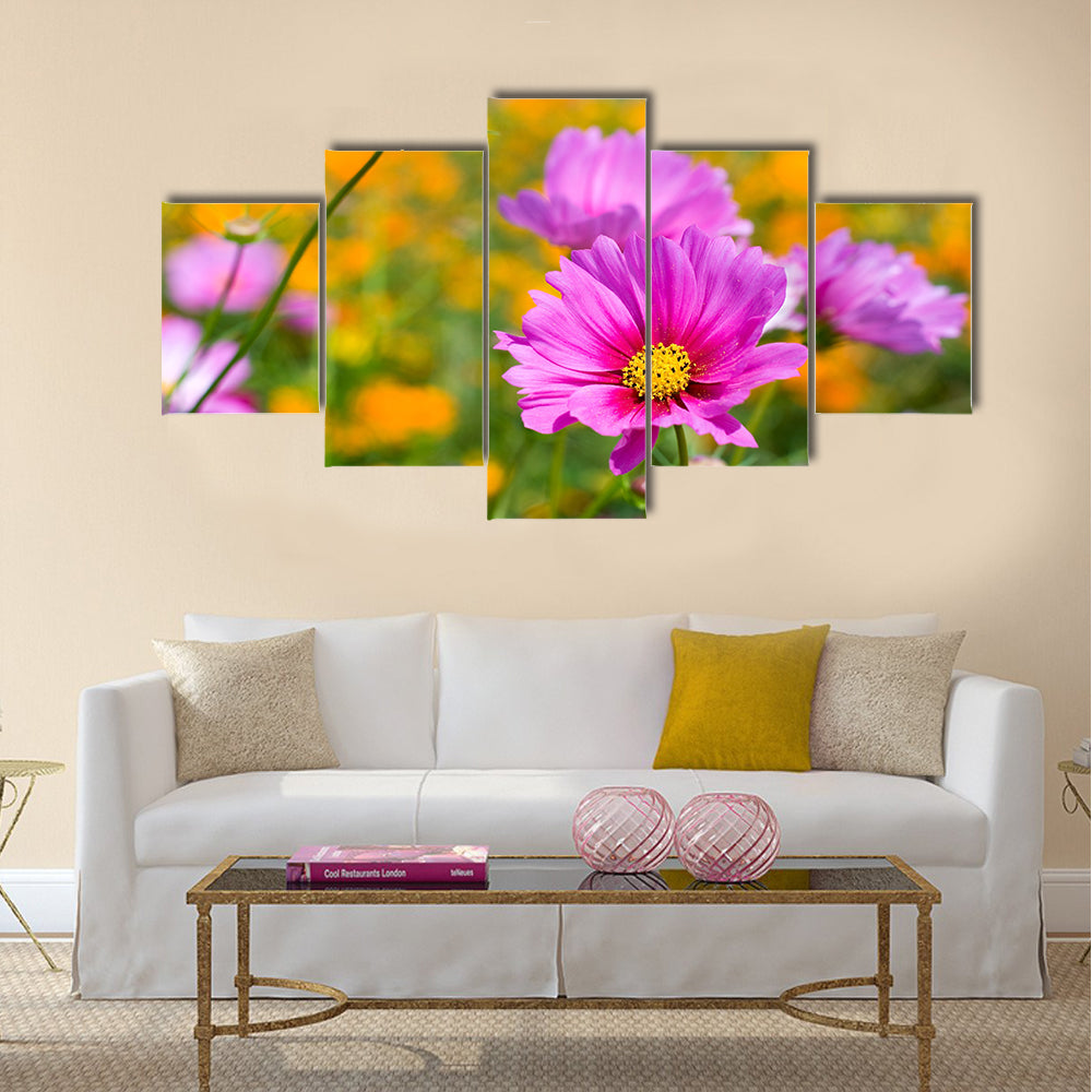 Pink cosmos in the flower fields Multi Panel Canvas Wall Art
