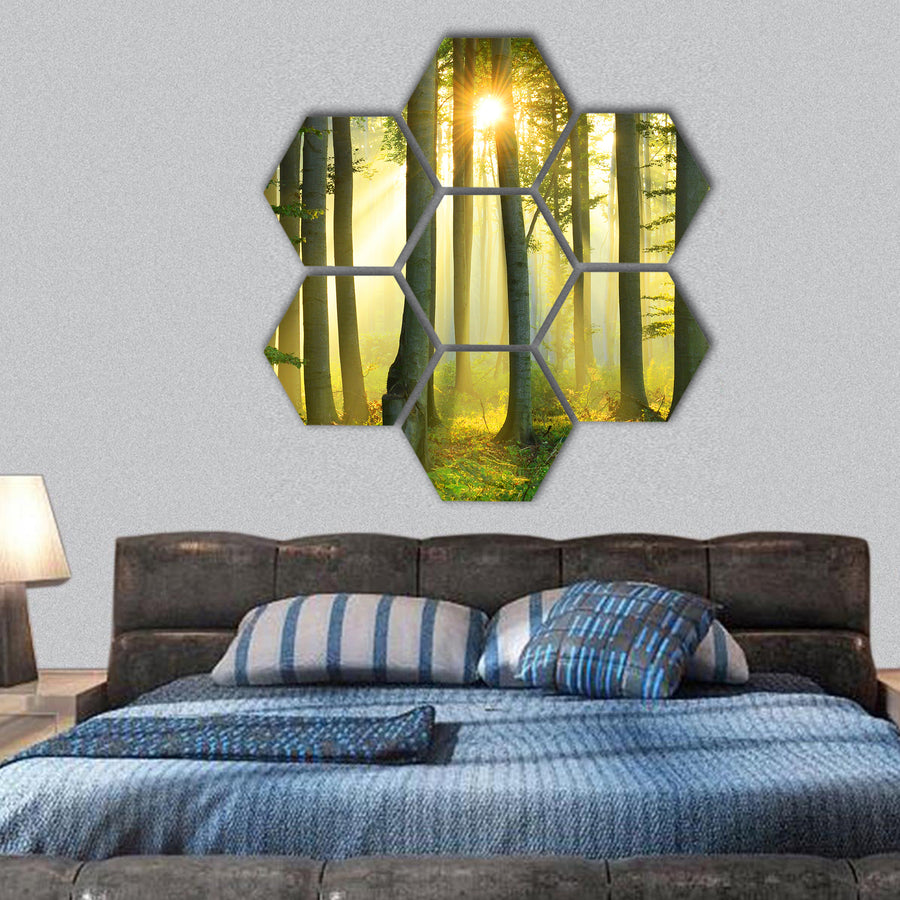 Morning in the forest hexagonal canvas wall art