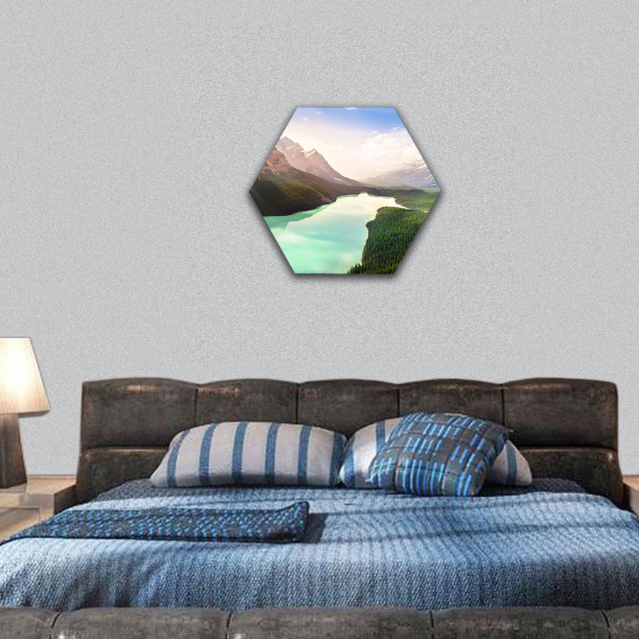 Turquoise Peyto Lake Rockies Mountains, Canada hexagonal canvas wall art