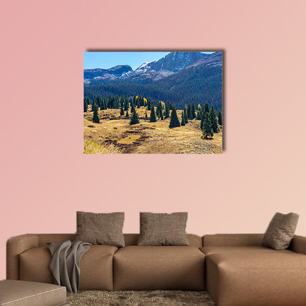 Amazing view of a green fir tree on a background of pine forest multi panel canvas wall art