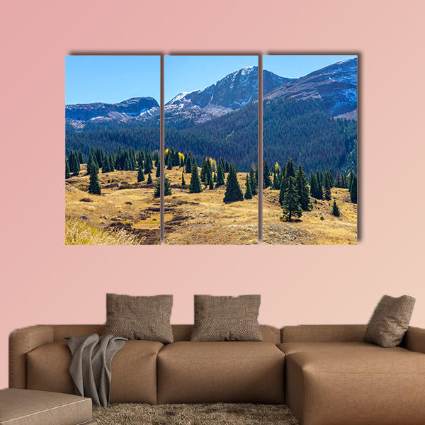 Amazing view of a green fir tree on a background of pine forest multi panel canvas wall art