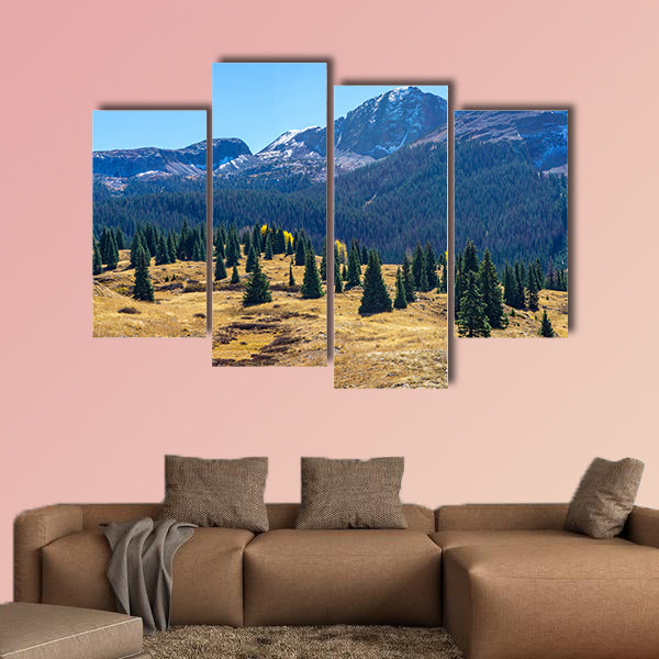Amazing view of a green fir tree on a background of pine forest multi panel canvas wall art
