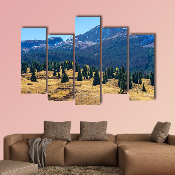 Amazing view of a green fir tree on a background of pine forest multi panel canvas wall art