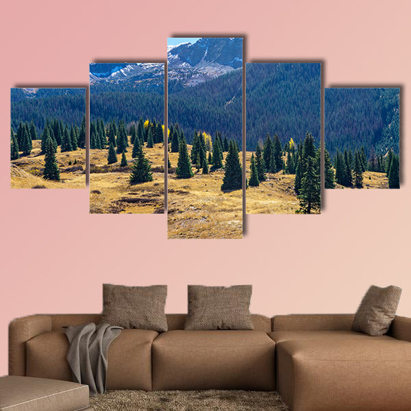 Amazing view of a green fir tree on a background of pine forest multi panel canvas wall art