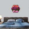 beautiful spring flower tulips hexagonal canvas wall art