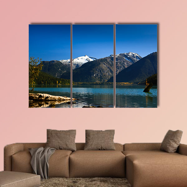 A small tree is growing on a log and their leafs are turning yellow wall art