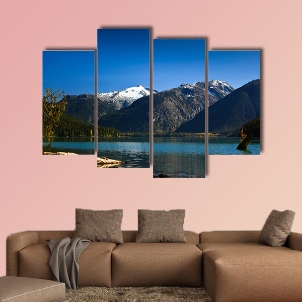 A small tree is growing on a log and their leafs are turning yellow wall art