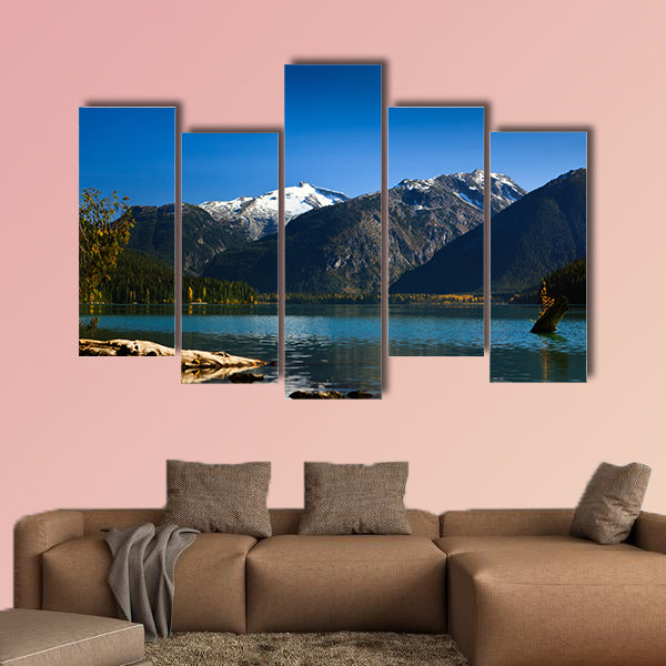 A small tree is growing on a log and their leafs are turning yellow wall art