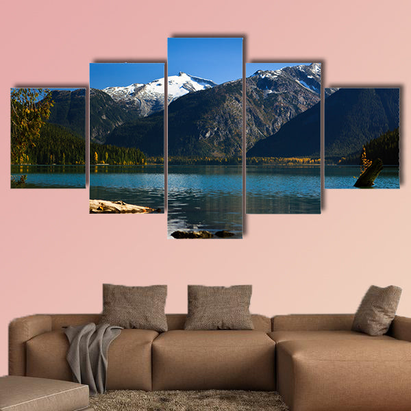 A small tree is growing on a log and their leafs are turning yellow wall art