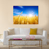 Golden wheat field with blue sky in background Multi panel canvas wall art