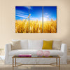 Golden wheat field with blue sky in background Multi panel canvas wall art