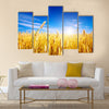 Golden wheat field with blue sky in background Multi panel canvas wall art