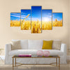 Golden wheat field with blue sky in background Multi panel canvas wall art