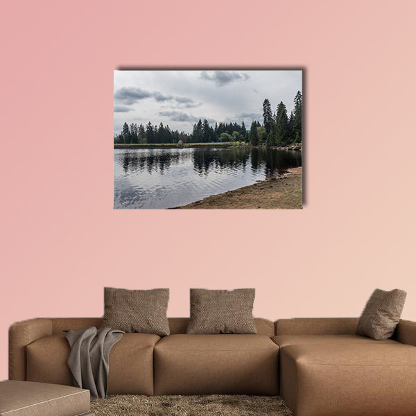 The Silberteich Lake in Harz, Germany multi panel canvas wall art
