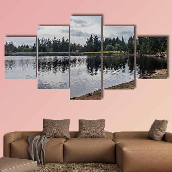 The Silberteich Lake in Harz, Germany multi panel canvas wall art