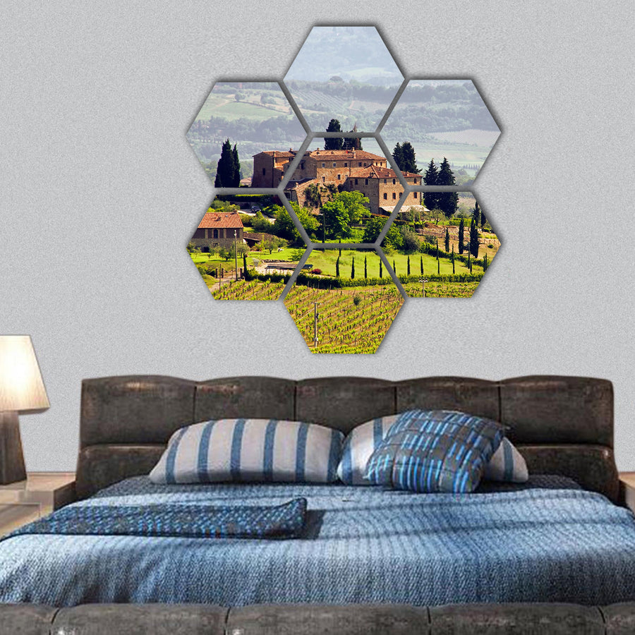 Tuscany vineyard hexagonal canvas wall art