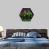 Northern lights image taken in Finish Lapland hexagonal canvas wall art