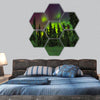 Northern lights image taken in Finish Lapland hexagonal canvas wall art