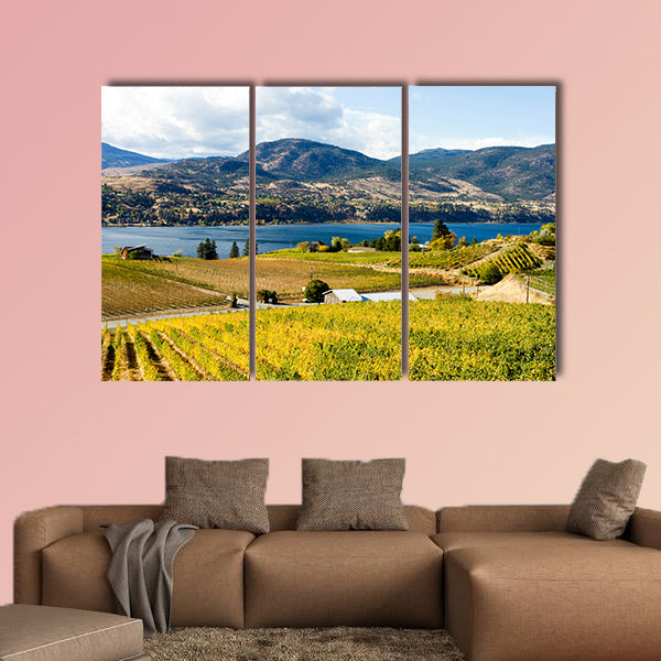 View of grape vineyards overlooking Skaha Lake between Penticton wall art