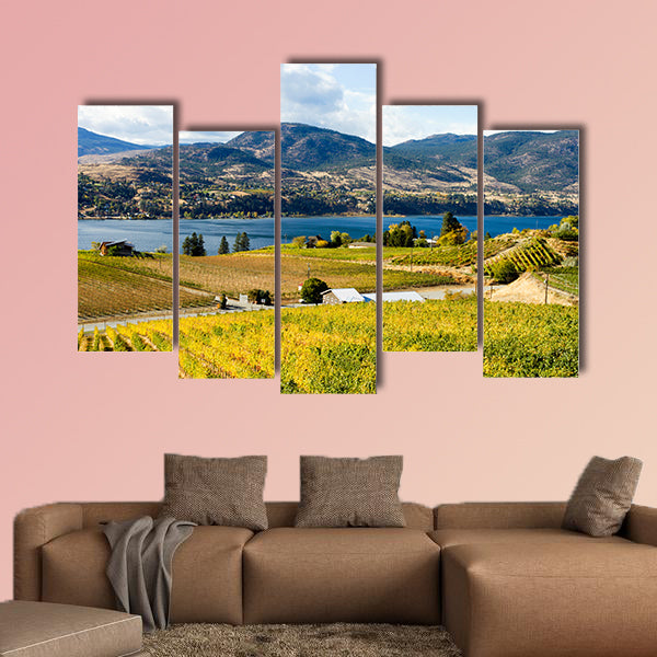 View of grape vineyards overlooking Skaha Lake between Penticton wall art