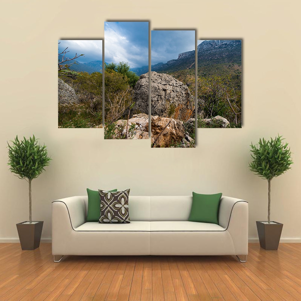 Wild nature of the Socotra Island, Yemen Multi panel canvas wall art
