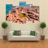 Nature of the Socotra Island, Yemen Multi panel canvas wall art