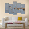 Flamingo in Lady's Mile Limassol Multi panel canvas wall art