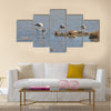 Flamingo in Lady's Mile Limassol Multi panel canvas wall art