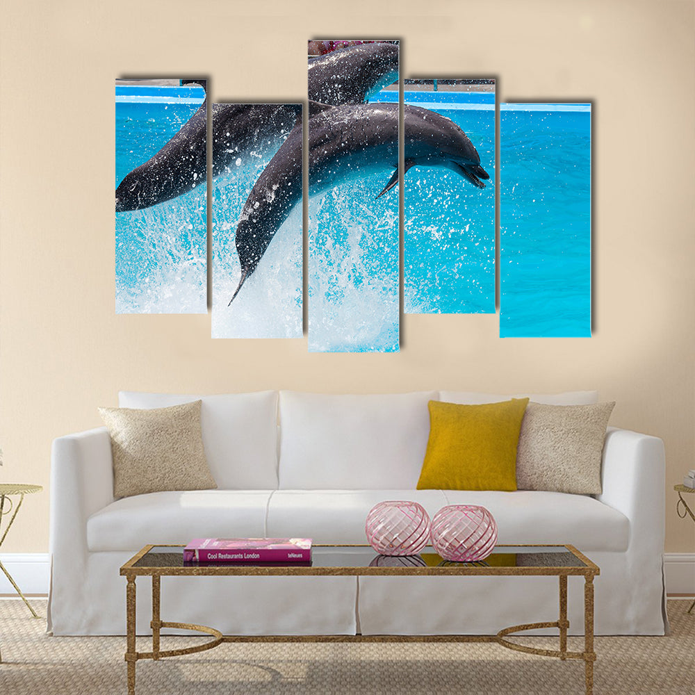 Two dolphins jump out of the pool water during the performance multi panel canvas wall art