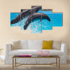 Two dolphins jump out of the pool water during the performance multi panel canvas wall art