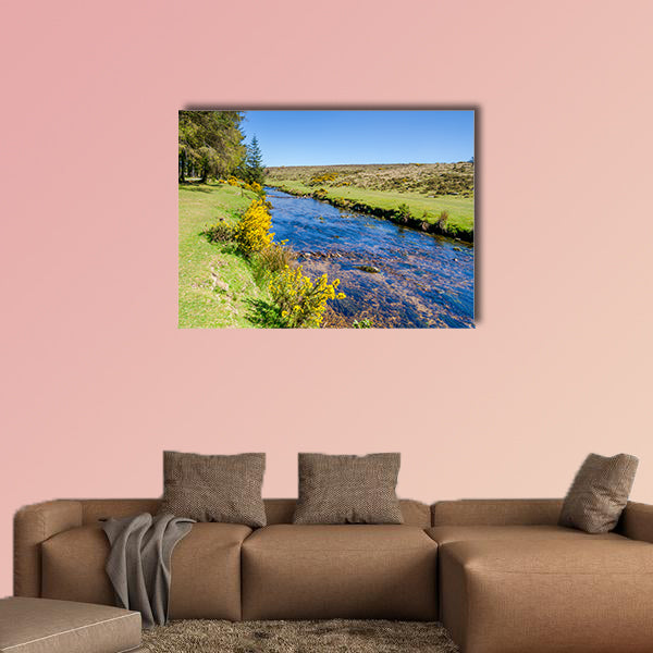 Bellever Forest And Dart River on Dartmoor National Park wall art