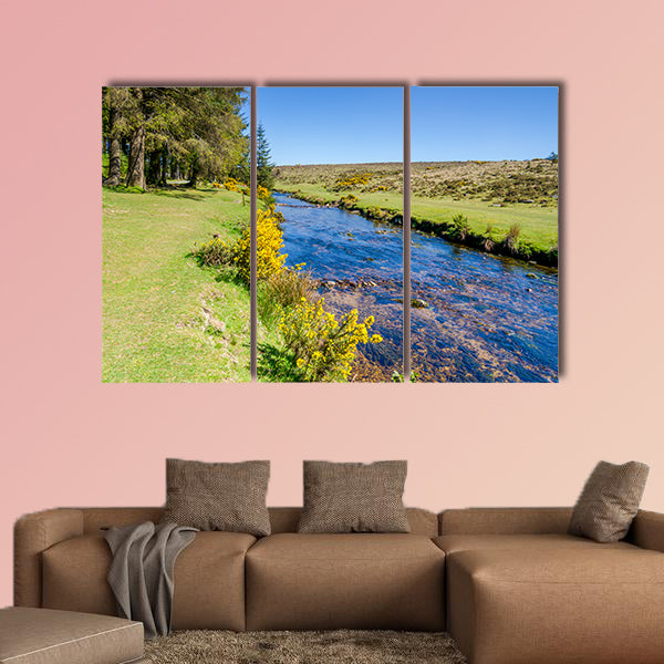 Bellever Forest And Dart River on Dartmoor National Park wall art
