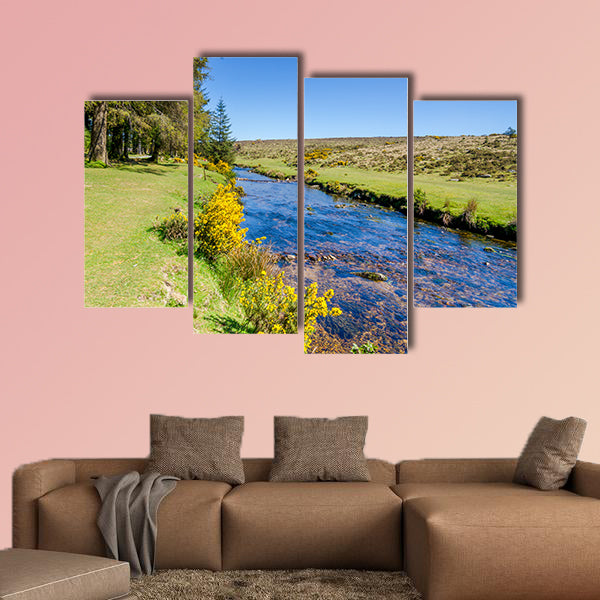 Bellever Forest And Dart River on Dartmoor National Park wall art