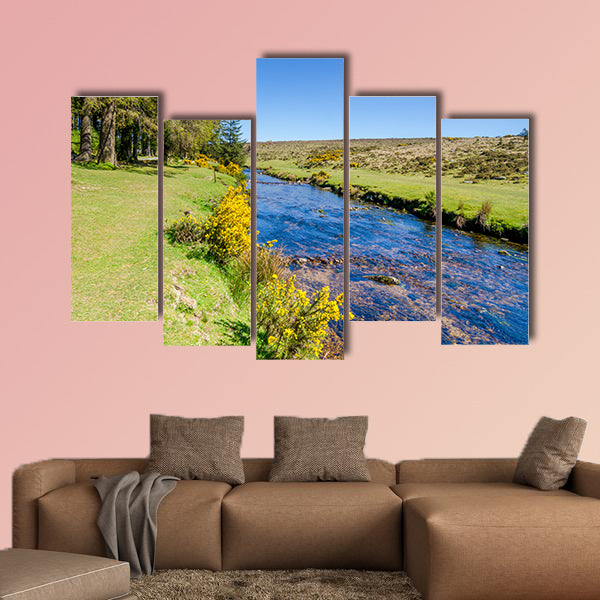 Bellever Forest And Dart River on Dartmoor National Park wall art