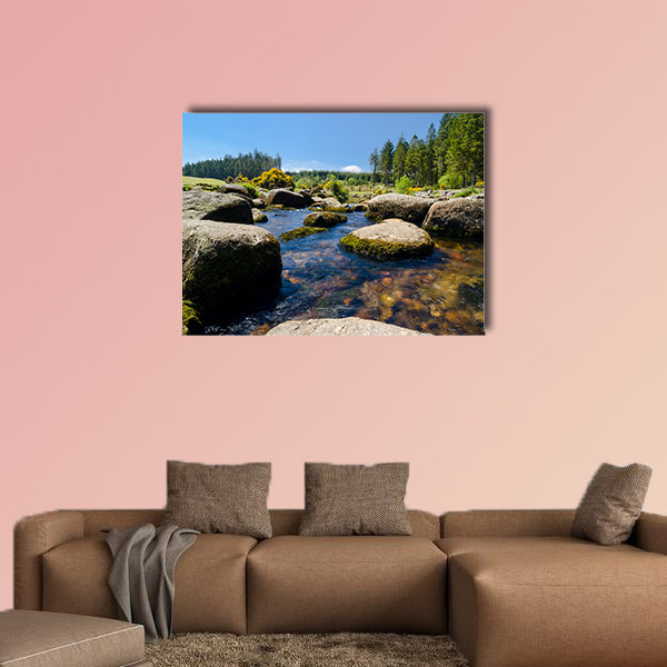 Bellever Forest And Dart River on Dartmoor National Park wall art