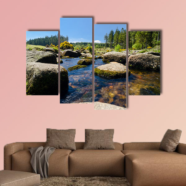 Bellever Forest And Dart River on Dartmoor National Park wall art