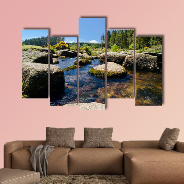 Bellever Forest And Dart River on Dartmoor National Park wall art