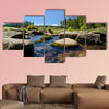 Bellever Forest And Dart River on Dartmoor National Park wall art