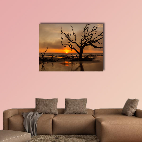  Driftwood and dead tree on an Atlantic Ocean beach wall art